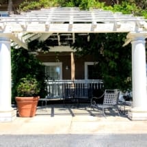 Wisteria on Arbor