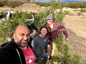 California juniper yamadori collecting trip