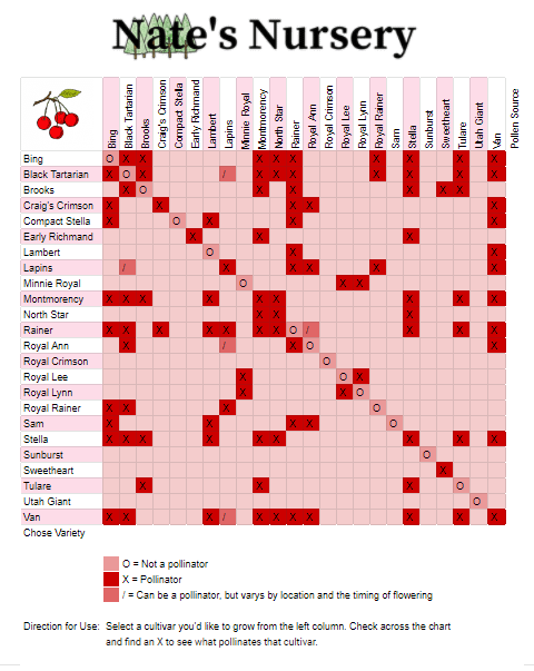 Cherry Tree Cross Pollination Chart Nates Nursery