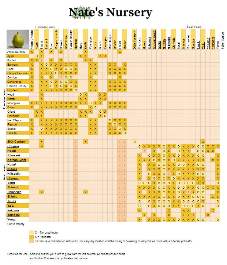 Pear Tree Cross Pollination Chart Nates Nursery
